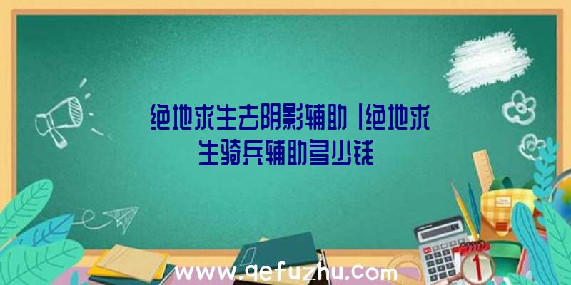 「绝地求生去阴影辅助」|绝地求生骑兵辅助多少钱